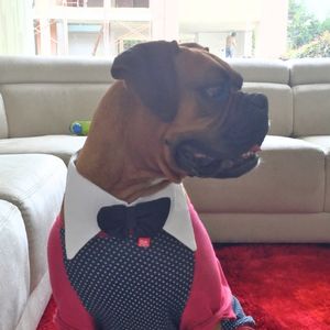 Cuello de camisa tipo smoking para perro